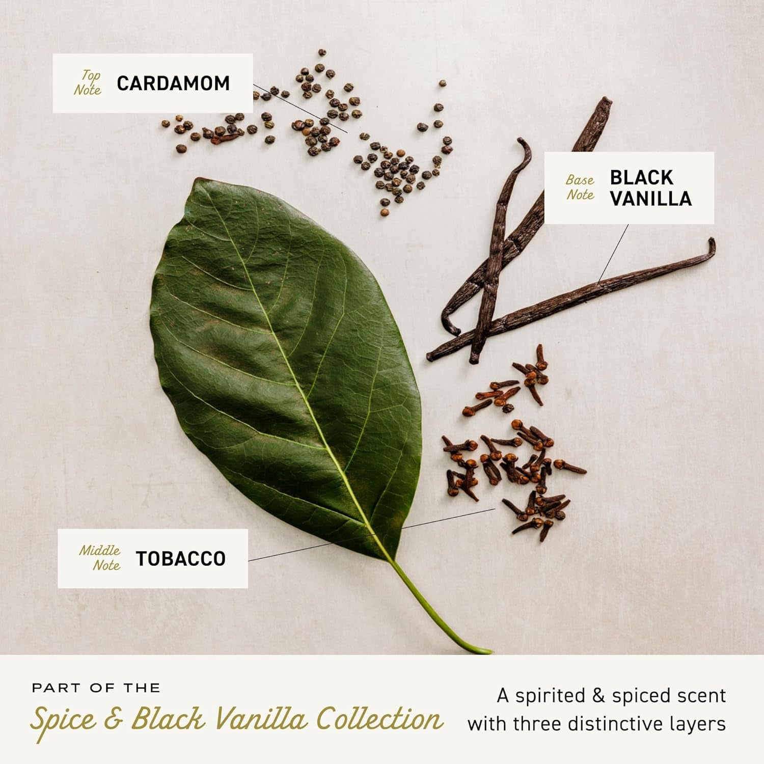 Elevate Your Essence: Cremo Men's Cologne in Spice & Black Vanilla - 3.4 Fl Oz of Sophisticated Scent