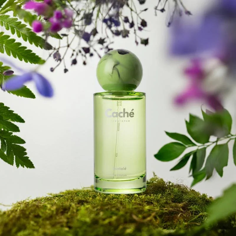 Caché Fragrance Collection: Designer-Inspired Eau De Parfum for Men & Women | Long-Lasting, Cruelty-Free & Vegan Scents with Exquisite Notes of Amber, Vanilla, Sandalwood, and More